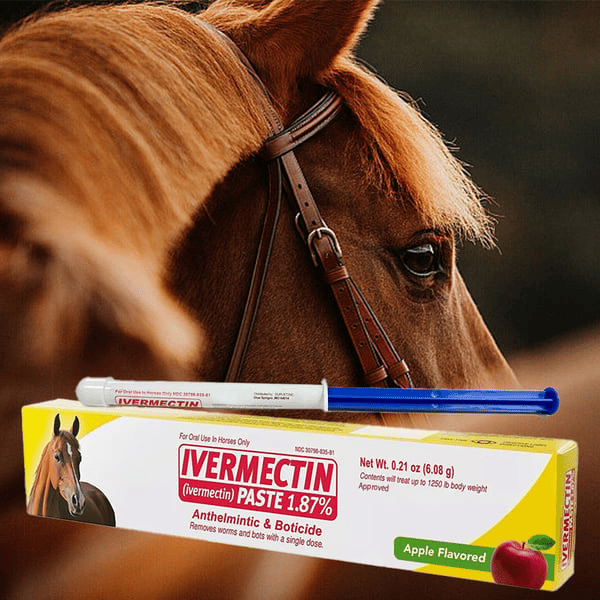 Ontwormingspasta voor Paarden