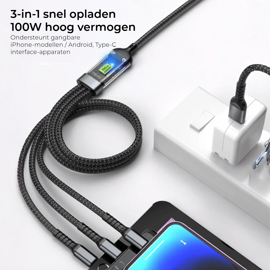 100W 3-IN-1 Oplader