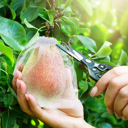 Beschermzakken voor Fruit & Groenten