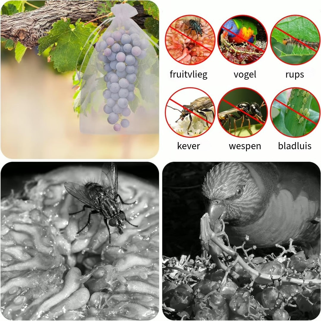 Beschermzakken voor Fruit & Groenten