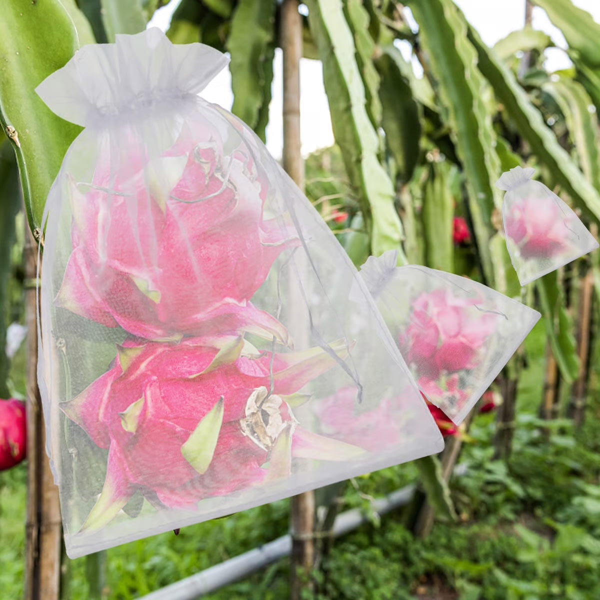 Beschermzakken voor Fruit & Groenten
